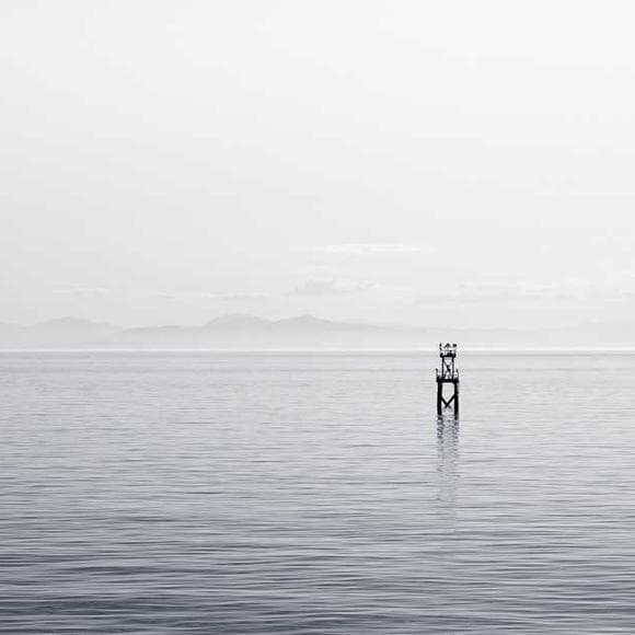 stanley hauerwas Quotes New Age,Disciple