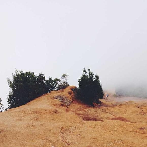 suheir hammad Quotes Motivation,Do Not Fear
