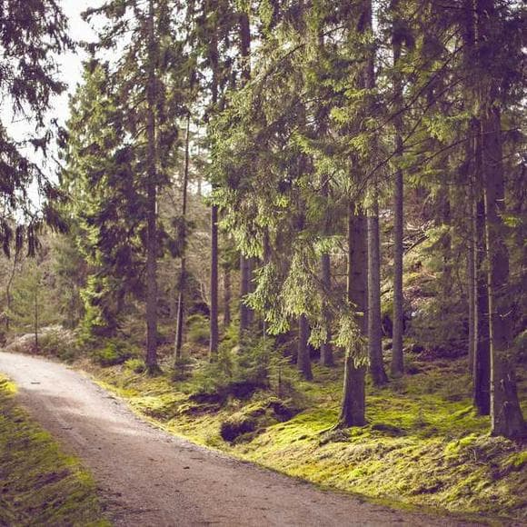 mehmet murat ildan Quotes Loses,New Places,Don't Be Sad