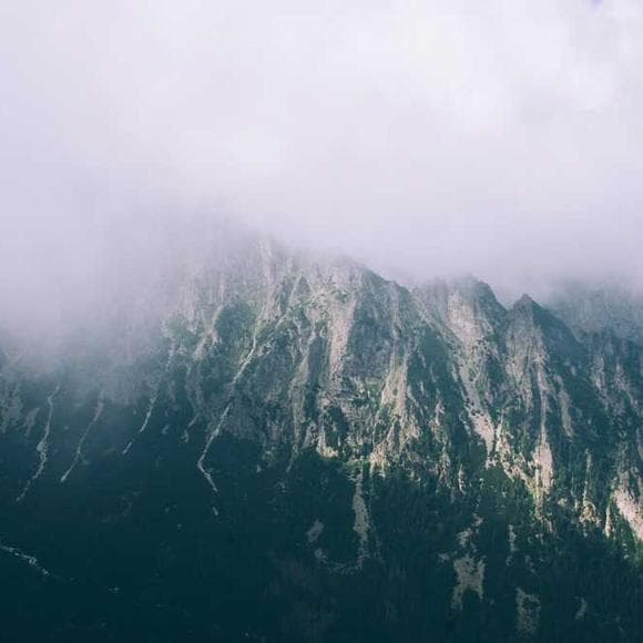 hermann hesse Quotes Wander,Elsewhere,Real Self