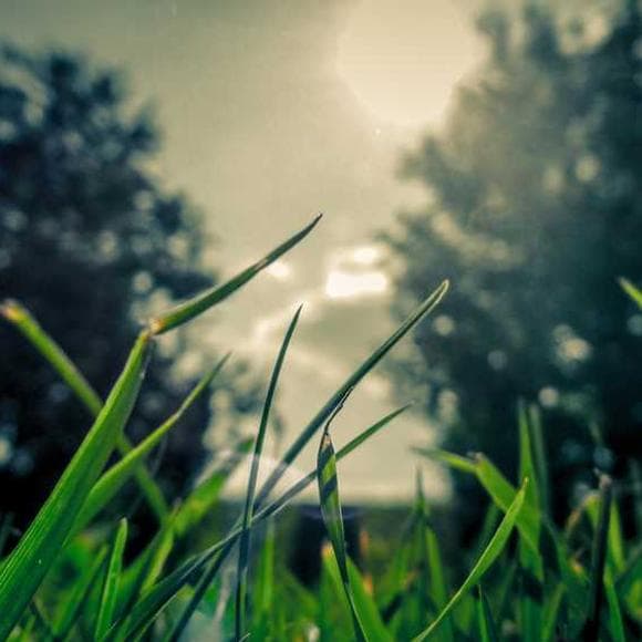 janusz korczak Quotes Emphasis
