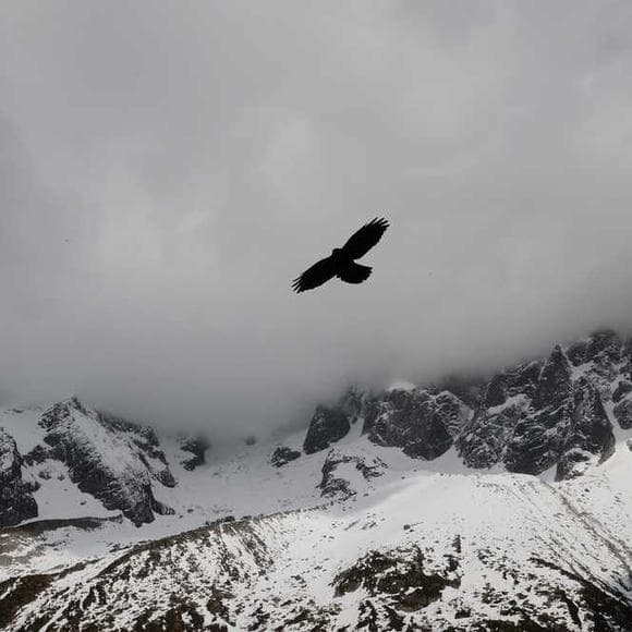 mehmet murat ildan Quotes Endless