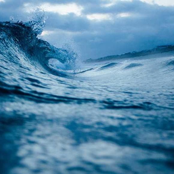 james patterson Quotes Evolve,Endless,Surprising