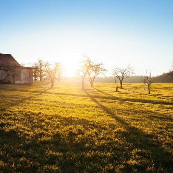 pope john paul ii Quotes Environmental,Sustainability,Ethics