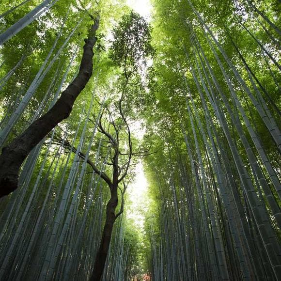 deepak chopra Quotes Human Body,Rivers,Every Second