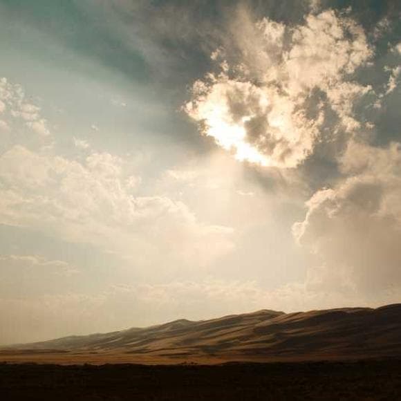 elisabeth elliot Quotes Sheep,Failing,Shepherds