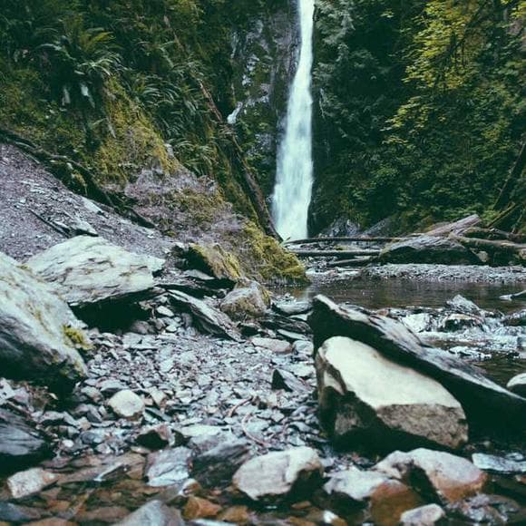 pema chodron Quotes Fear,Reactions,Moving Closer