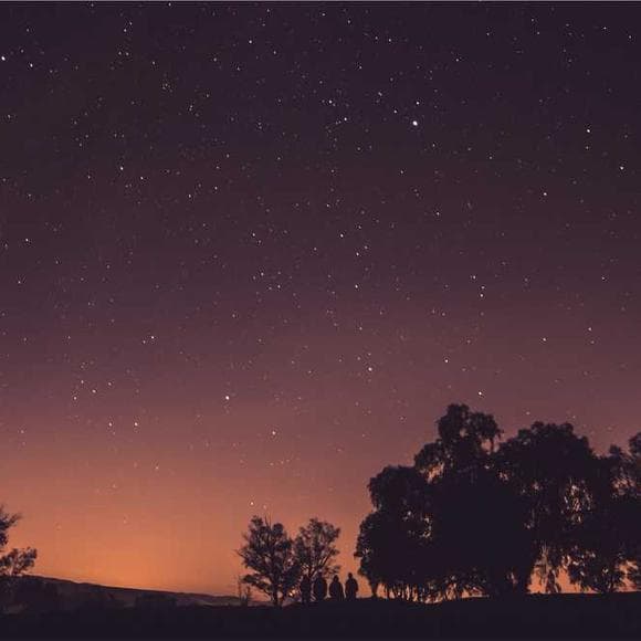 jodi picoult Quotes Silly,Implicit,Festering