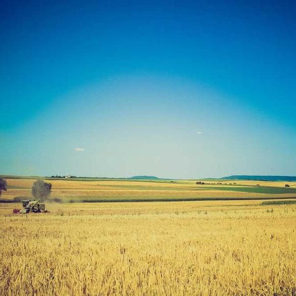 francois mauriac Quotes Worthy,Flora,Flora And Fauna