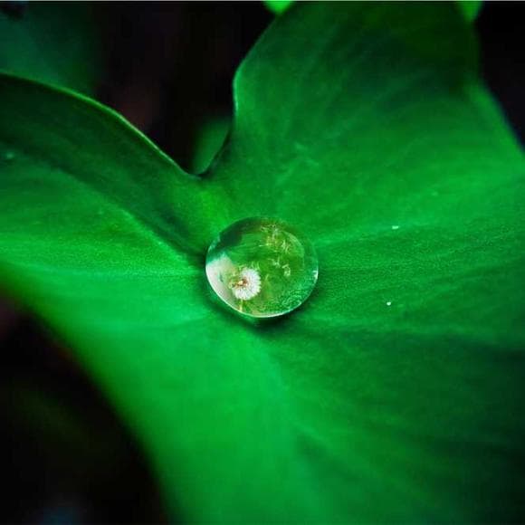 edmund spenser Quotes Folly,Reflection