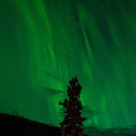 ursula k. le guin Quotes Forgotten,Light,World