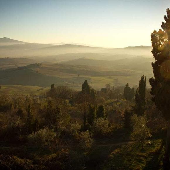 edward hirsch Quotes Wonder,Sense Of Wonder,Freshness