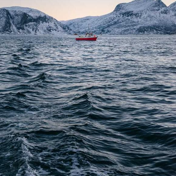 thalassa cruso Quotes March,Violent,Frustration