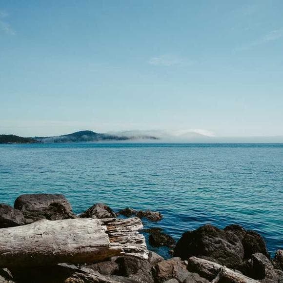 bret mckenzie Quotes Good News,Known,New Zealand