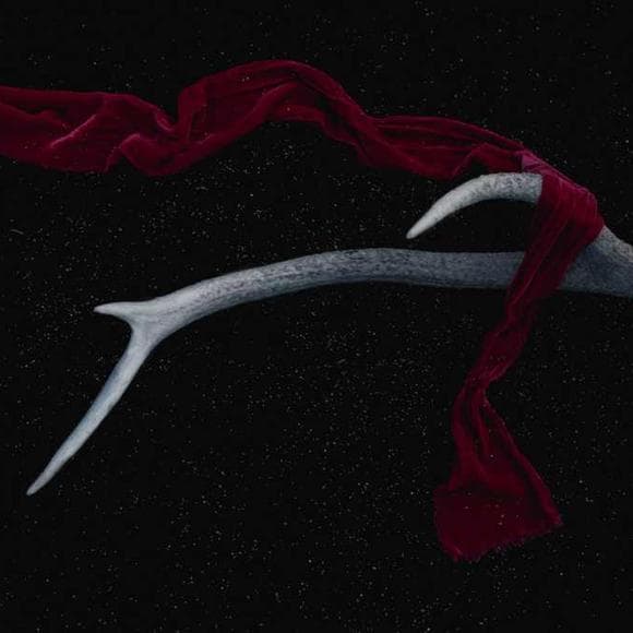 louise glück Quotes Veils,Goodbye,Saying Goodbye