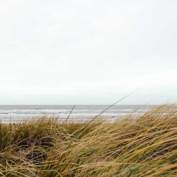 geoff dyer Quotes Great Travel,Inspiring Travel,Ideals