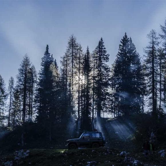 dorothy richardson Quotes Green,Mist