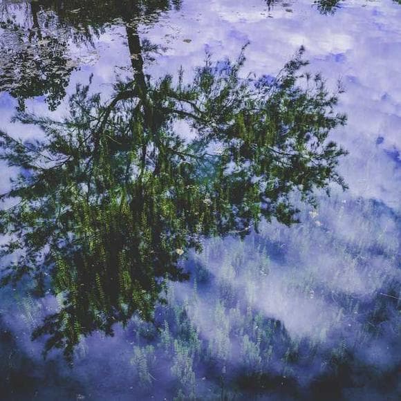 elizabeth jane howard Quotes Guilty,Rainy Day,Rainy