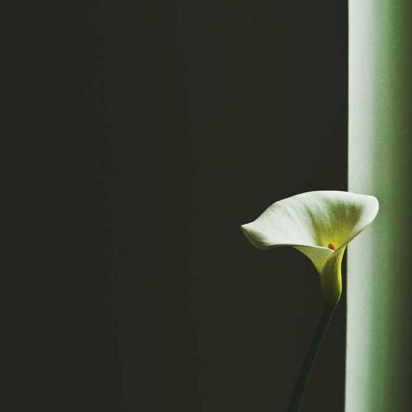 michael novak Quotes Willingness,Happiness Love,Sacrifice