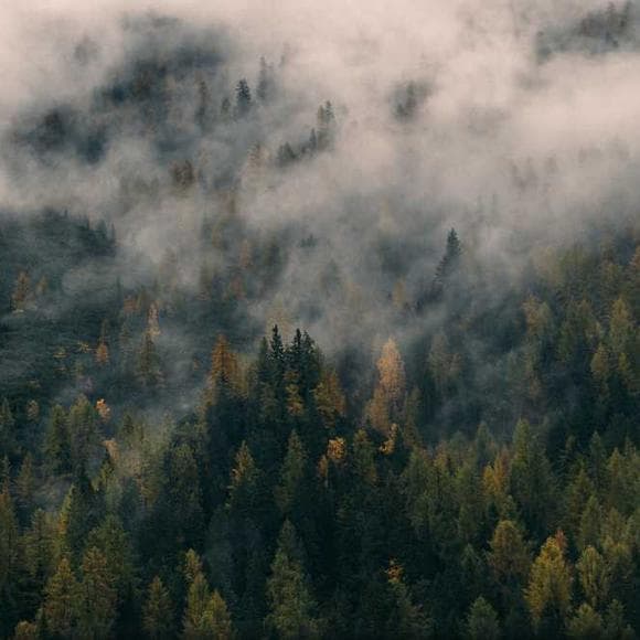 seneca the elder Quotes Hiking,Trekking,Men