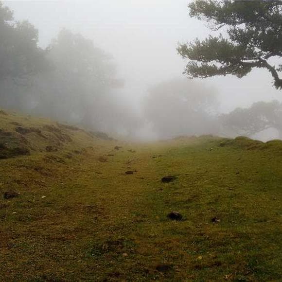 annie dillard Quotes Hiking,Trekking,Wander