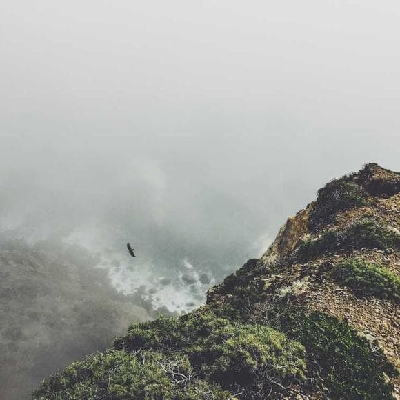 adrienne rich Quotes Human Life,Physicality,Unity