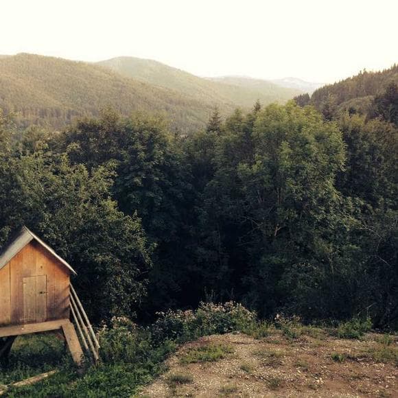 henry david thoreau Quotes Smallest,I Have Learned
