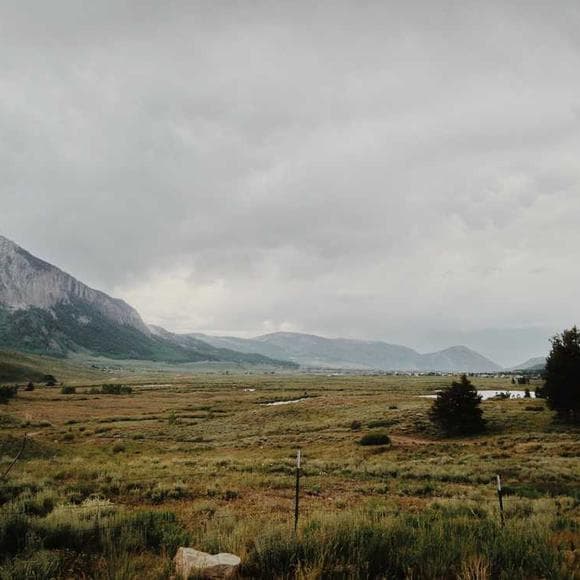 andreas gursky Quotes Results,Preference,Illusory