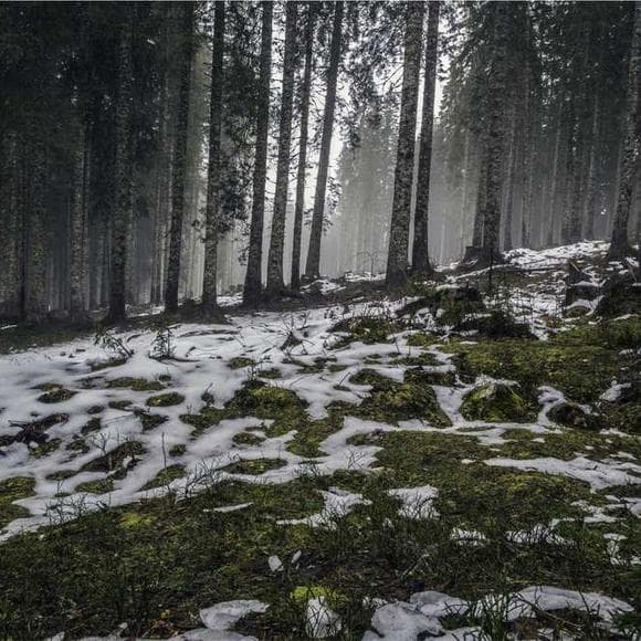mehmet murat ildan Quotes Inconsistent,Progression,Inconsistency