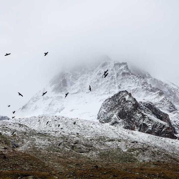 henry david thoreau Quotes Inequality,Superfluous,Wealth
