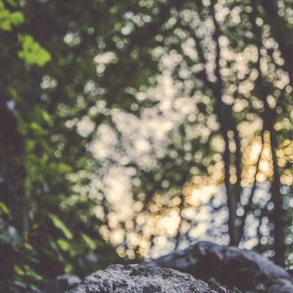 rumi Quotes Mirrors,Infinite,Pure Heart
