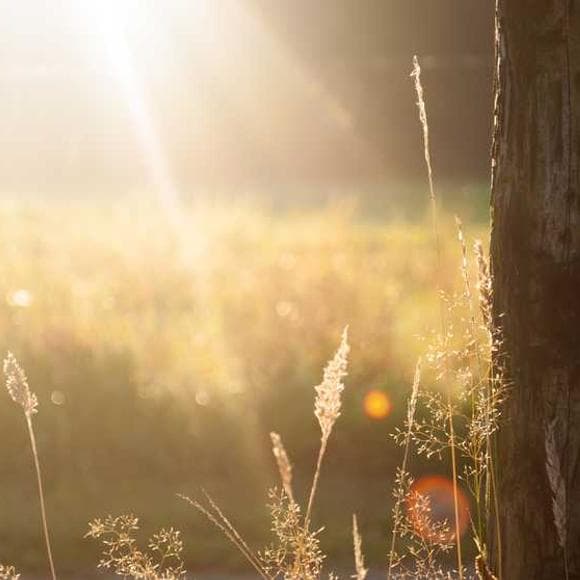 oprah winfrey Quotes Insightful,Wise,Where You Are