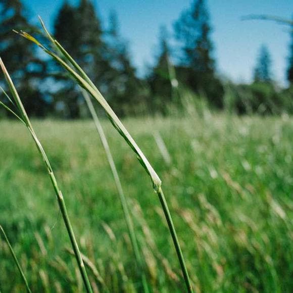 ram dass Quotes Intuition,Planes,Noise