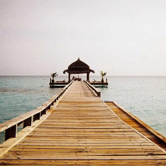 paul simon Quotes Rocks,Islands,No Pain