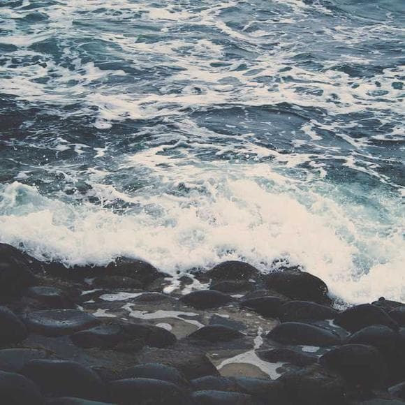 paul of the cross Quotes Meditation,Jesus