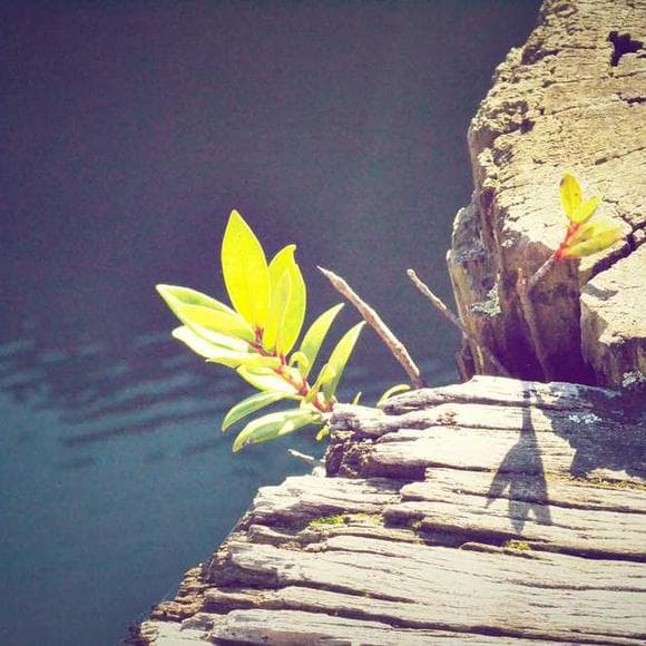 byron katie Quotes Katie