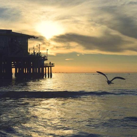 hunter s. thompson Quotes Sea,Nostalgia,Yacht