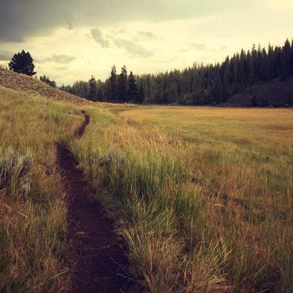 sogyal rinpoche Quotes Learn To Let Go