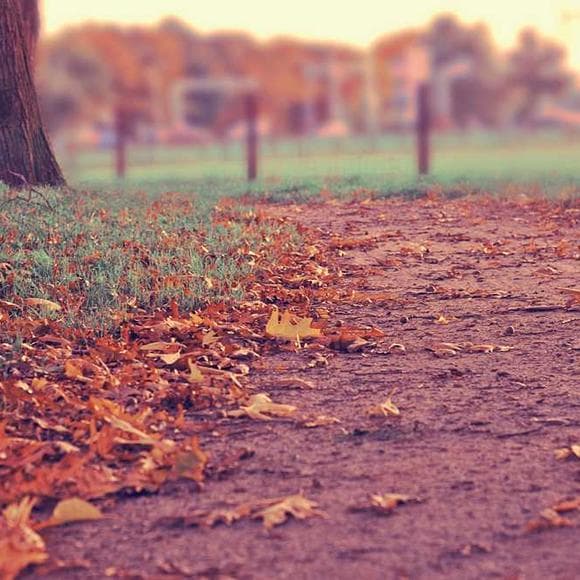 amby burfoot Quotes Life,Pace,Life Philosophy