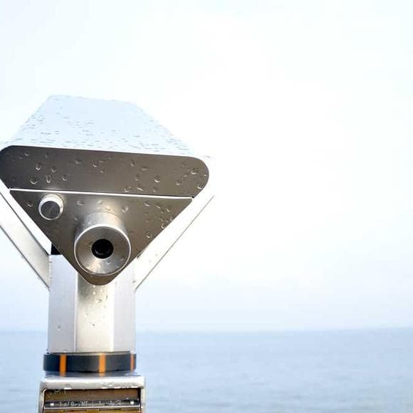 b.k.s. iyengar Quotes Worldly,Making Peace,Limbs