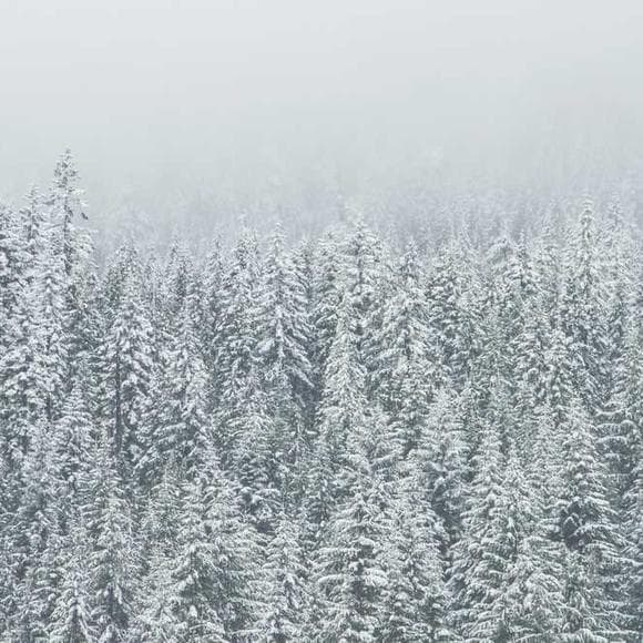 joanne harris Quotes Online,Loneliness