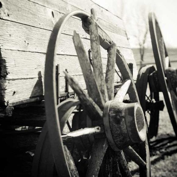 matthew henry Quotes Manure,Riches