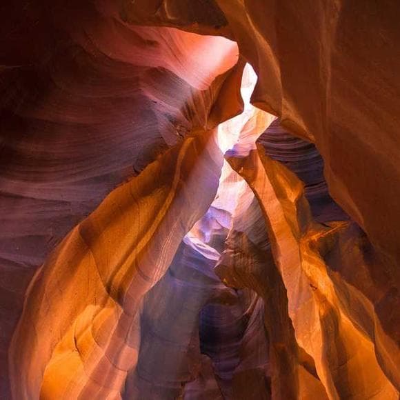 edward abbey Quotes Nature And Life