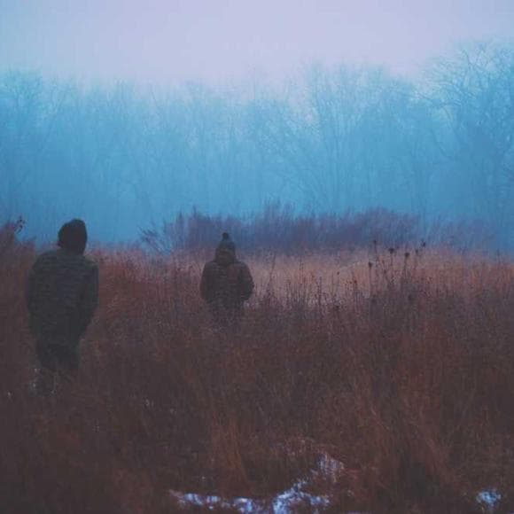 brené brown Quotes Numb