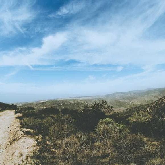 edwin way teale Quotes Trekking,Strolling,Pace