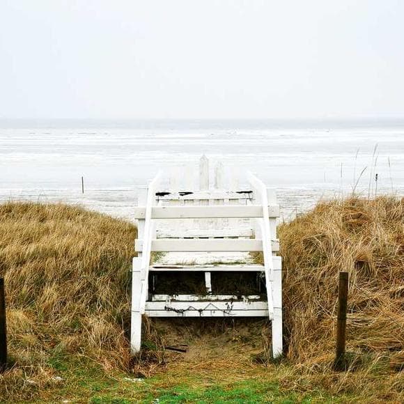 jodi picoult Quotes What Matters,Opinion
