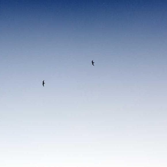 yasuhiko kimura Quotes Thrust,Unfolding,True To Oneself