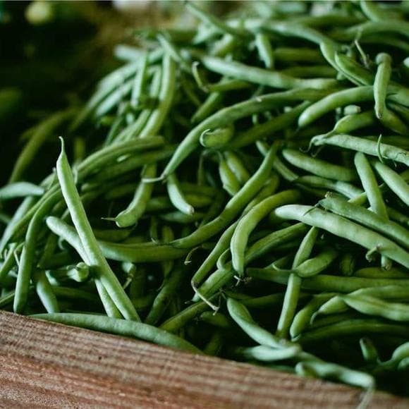 mary ruwart Quotes Soviet Union,Soviet,Vegetables