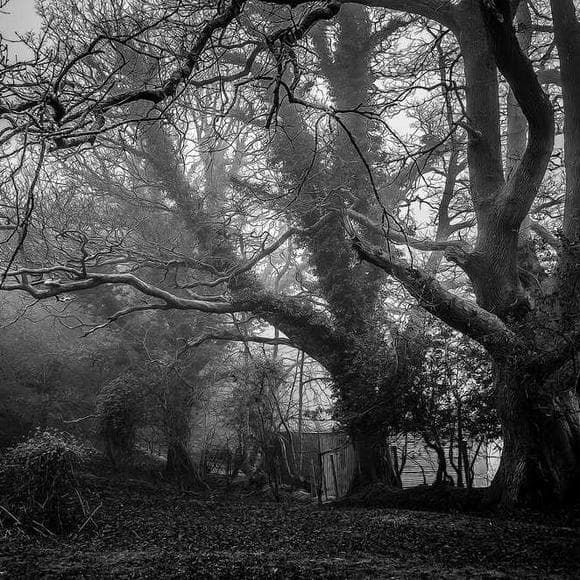 t. s. eliot Quotes Quartets,Times Past