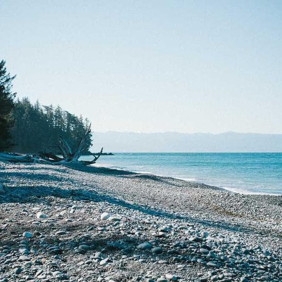 roland barthes Quotes Settling,Vacant
